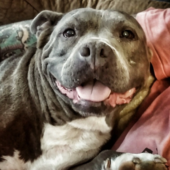 Meet your Posher, Jean - Picture 5 of 5